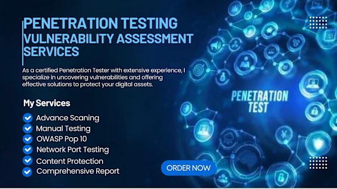 Gig Preview - Do penetration testing and vulnerability assessment of websites