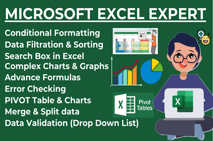 Gig Preview - Do excel conditional formatting, pie chart, line bar graph, formula, pivot table