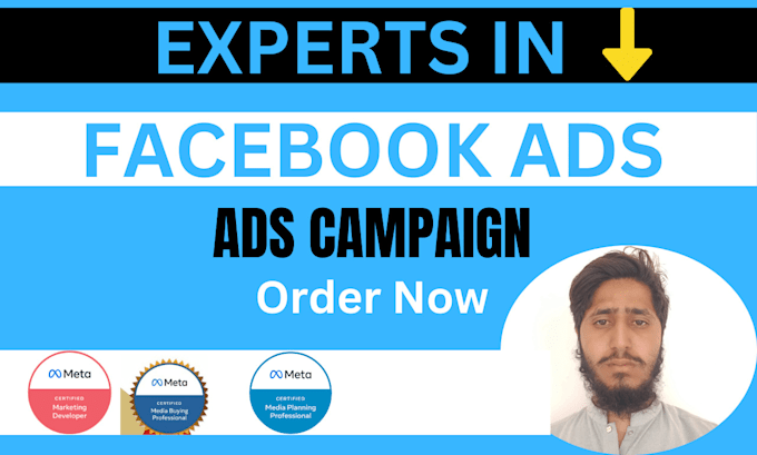 Gig Preview - Be your facebook ads campaign manager expert