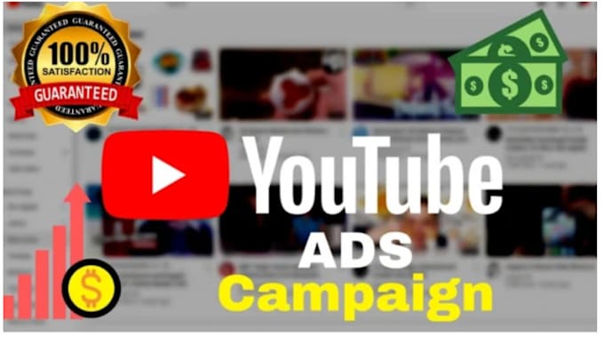 Gig Preview - Do you youtube video ads campaigns