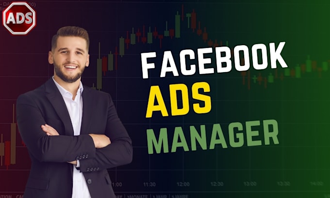 Gig Preview - Setup and manage your facebook ads campaign