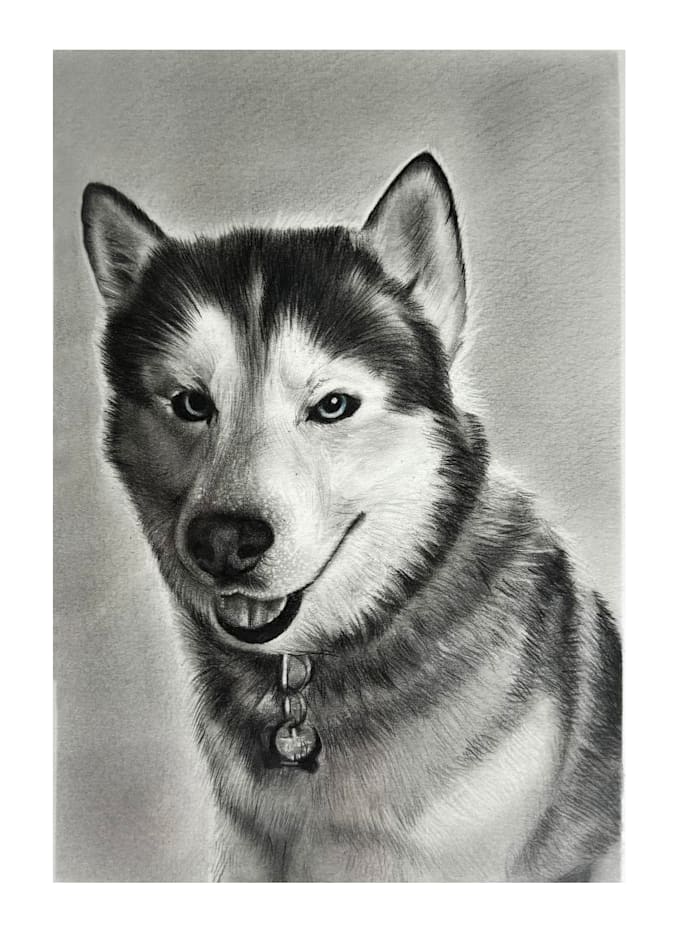 Gig Preview - Do a custom pet portrait, dog portrait, cat portrait by pencil