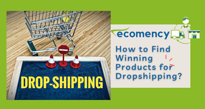 Gig Preview - Do dropshipping product research to find shopify winning products