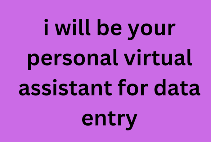 Gig Preview - Be your personal virtual assistant for data entry