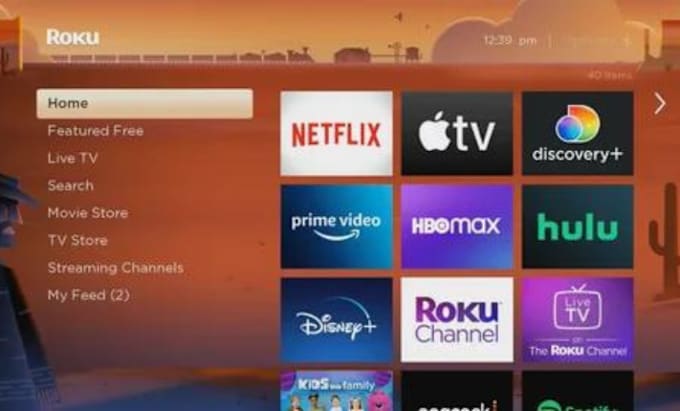 Gig Preview - Create and setup your roku channel, roku amazon fire tv, radio tv