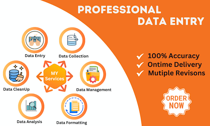 Gig Preview - Do data entry, data collection and data formatting