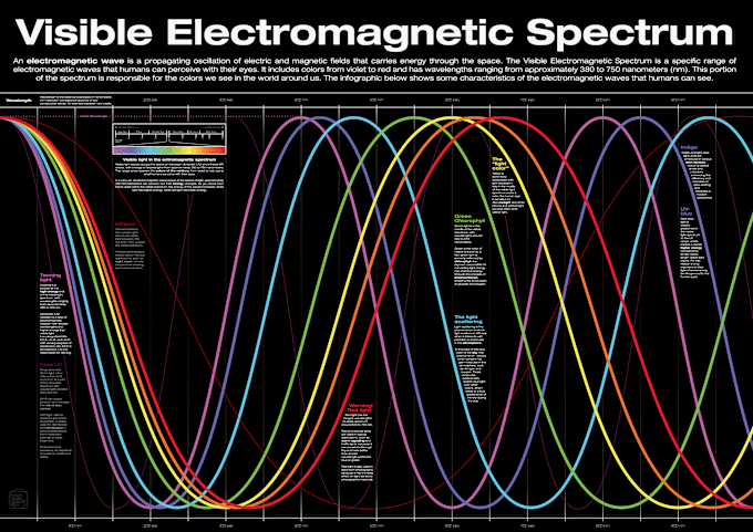 Gig Preview - Do infographics, scientific and technical illustrations