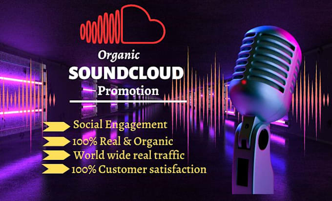 Gig Preview - Provide premium organic soundcloud promotion