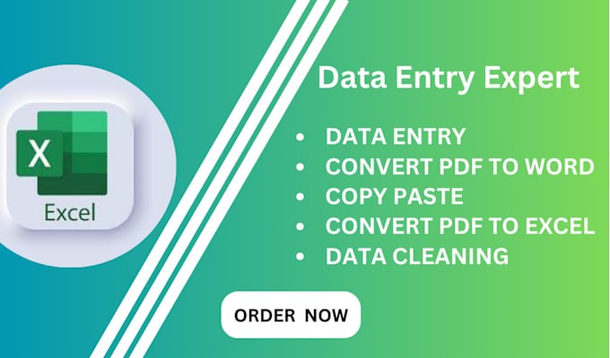 Gig Preview - Do data entry, convert pdf to excel, ms excel data entry