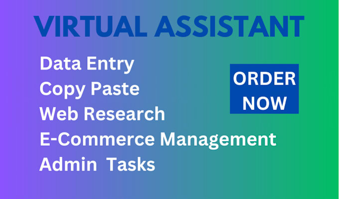 Gig Preview - Be your virtual assistant for data entry, copy paste and web research