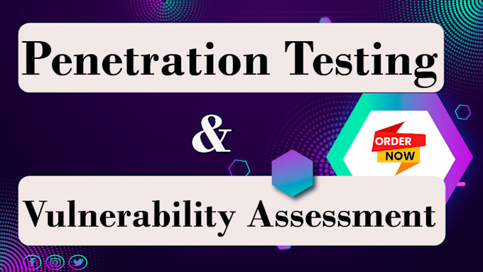 Gig Preview - Conduct penetration testing and vulnerability assessment for web applications