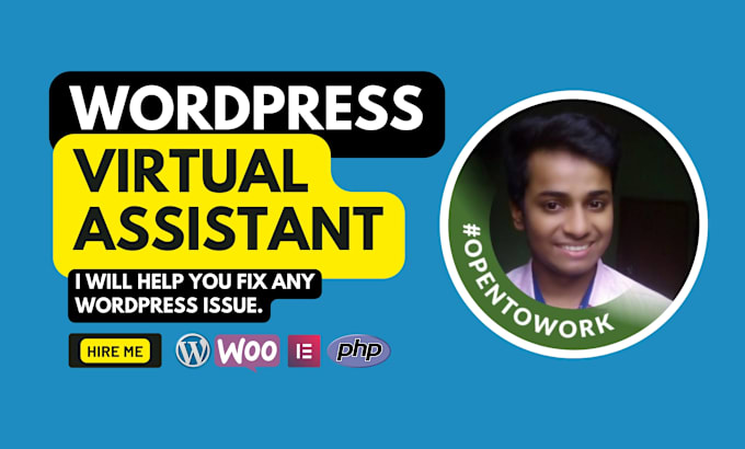 Gig Preview - Be your wordpress virtual assistant, wordpress maintenance