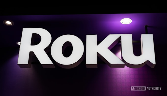 Gig Preview - Do organic roku channel promotion,roku tv,app promotion,