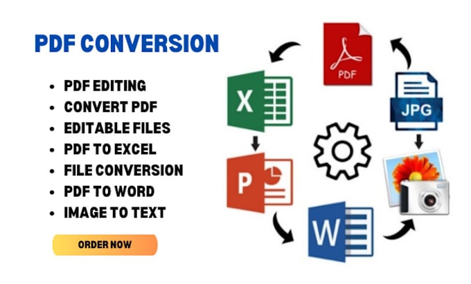 Gig Preview - Convert pdf to excel ,word ,image to text file conversion