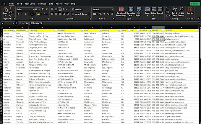 Gig Preview - Clean or build your ms excel contacts database