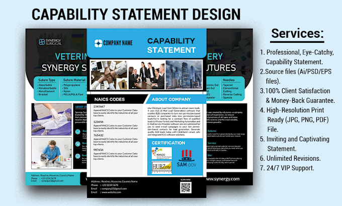 Gig Preview - Do professional capability statement and business flyer design