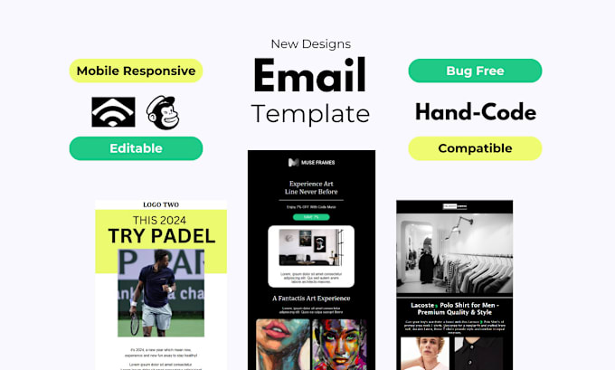 Gig Preview - Creat perfect mobile friendly email templates