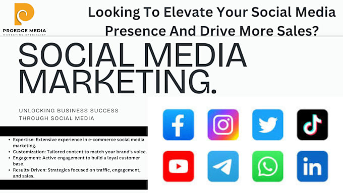 Gig Preview - Be your social media marketing manager, content creator for online stores