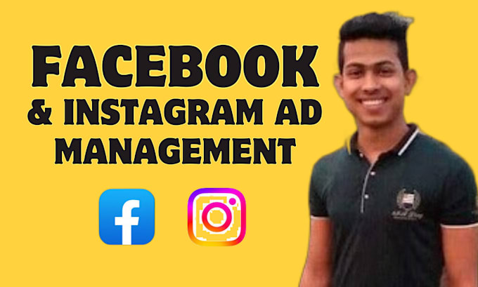 Gig Preview - Be your facebook and instagram ads campaign manager