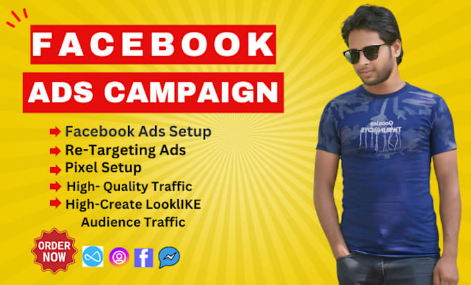 Gig Preview - Setup facebook ads and instagram ads campaign manager