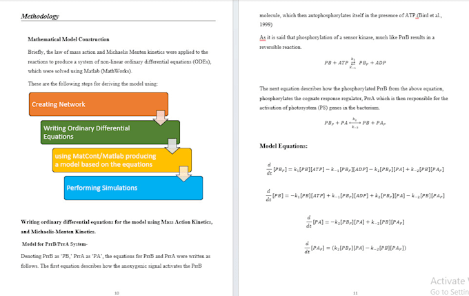 Gig Preview - Write research work, summaries, articles, essays