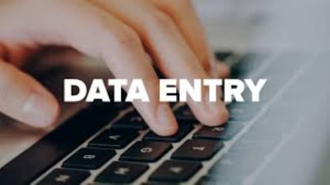 Gig Preview - Be your best choice for data entry