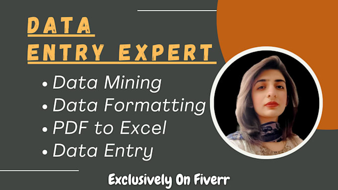 Gig Preview - Be your data mining, data formatting, data entry, and pdf to excel expert