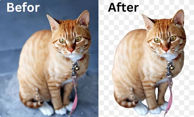 Bestseller - do photo background removal and product image editing professionally