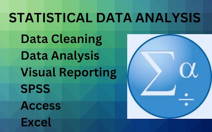 Bestseller - do statistical data analysis using spss, access, excel