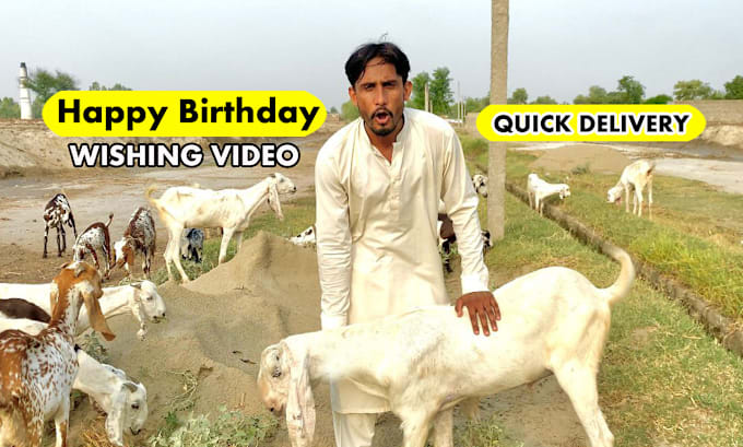 Bestseller - create happy birthday wish with goats and funny massage