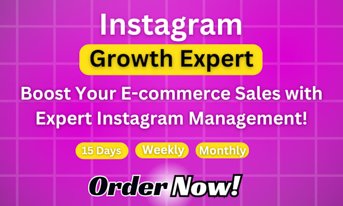 Gig Preview - Be your instagram manager for organic growth