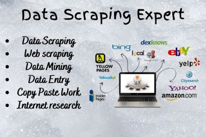 Gig Preview - Do data scraping, data entry, data mining, data typing