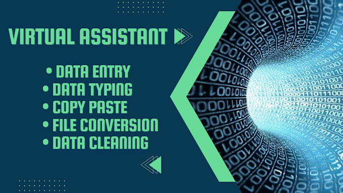 Bestseller - do virtual assistant data entry,cleaning,typing,convert file