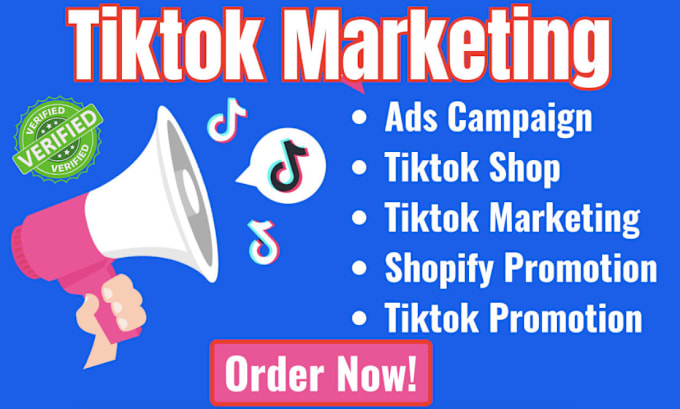 Gig Preview - Set up tik tok ads and tik tok shop