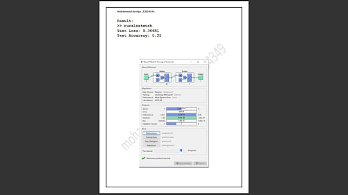 Gig Preview - Do neural network development