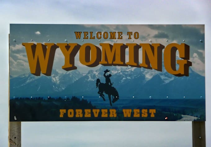 Gig Preview - Do USA llc registration formation in new mexico and wyoming