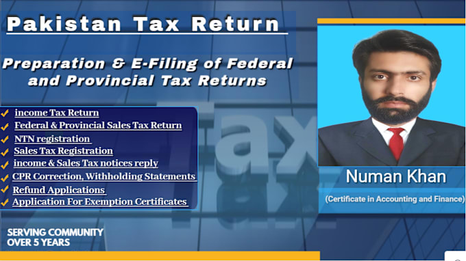 Gig Preview - Do professional tax return preparation and filing services