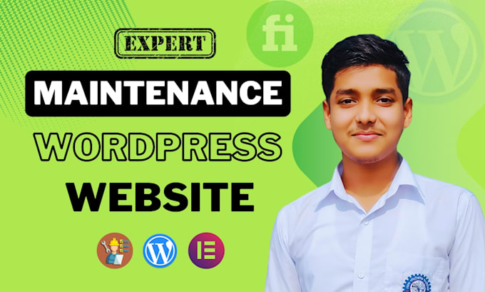 Gig Preview - Provide monthly wordpress website maintenance and support