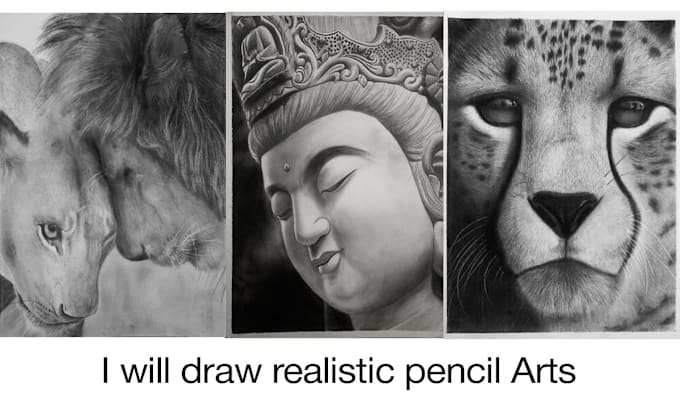 Gig Preview - Draw realistic pencil arts