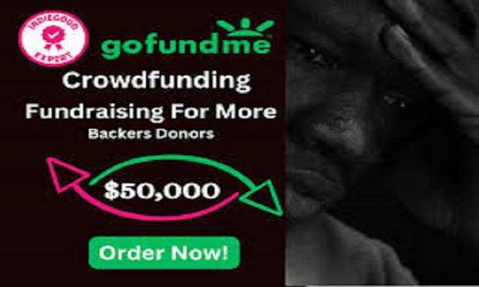 Bestseller - write and setup whole gofundme campaign