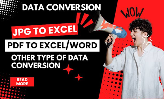 Gig Preview - Do jpg to excel, word and PDF to excel, word data conversion