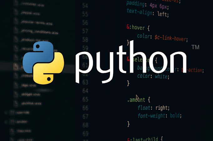 Gig Preview - Be your python developer