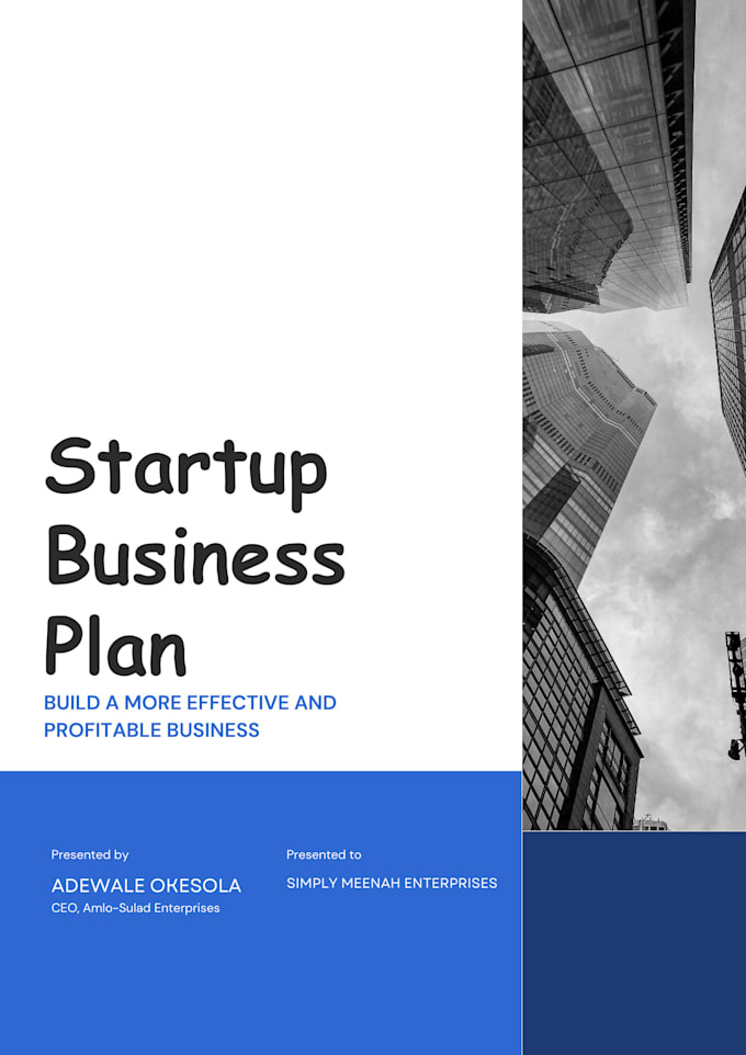 Gig Preview - Prepare a winning business plan for your business