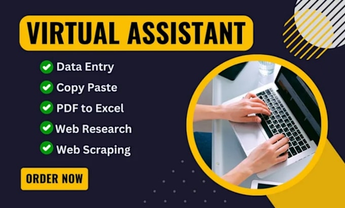 Gig Preview - Be your virtual assistant for data entry and copy paste