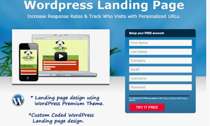 Gig Preview - Create wordpress landing page design, squeeze page, sales page, or sales funnel