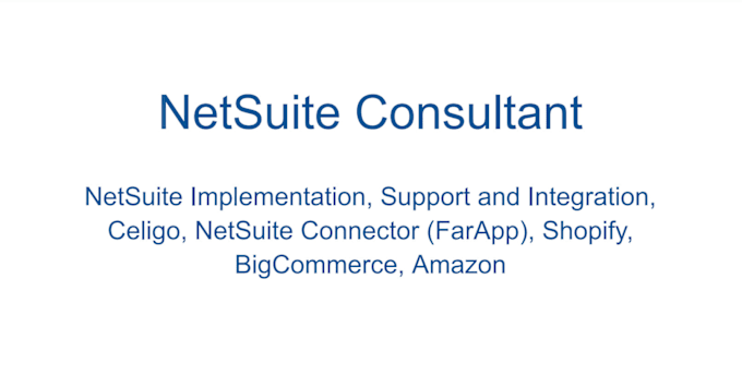 Gig Preview - Do support and implement your netsuite system