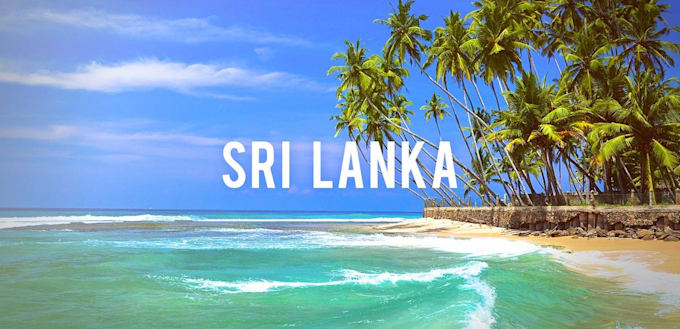 Gig Preview - Assist you anything related to sri lanka