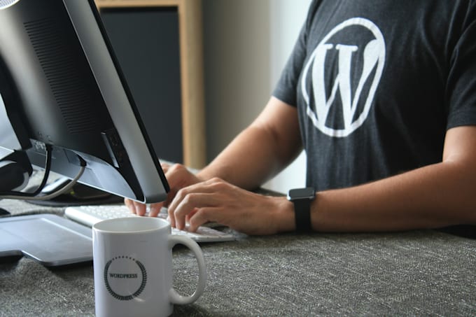 Gig Preview - Design and develop your wordpress website