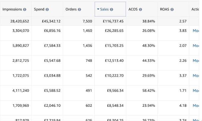 Gig Preview - Optimise your PPC campaigns and video calls weekly