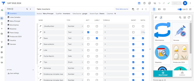 Gig Preview - Creation and rectification of appsheet